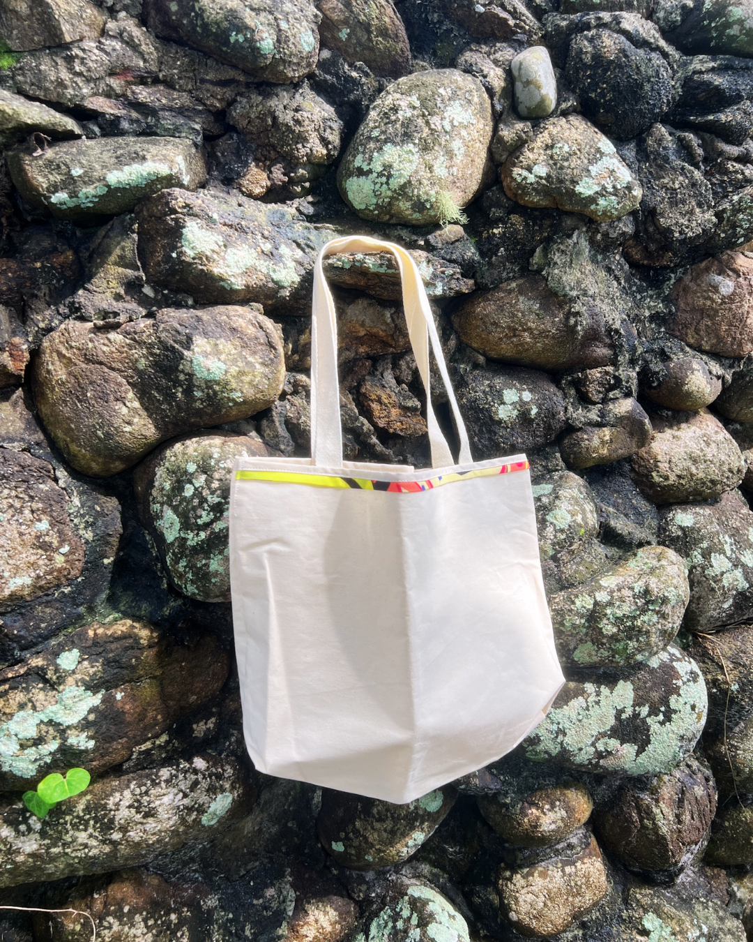Ecobag La Praiana